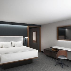 King Room Sofa Bed